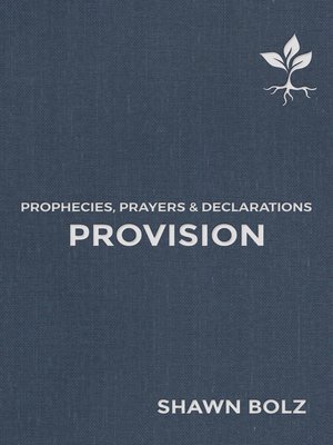 cover image of Provision